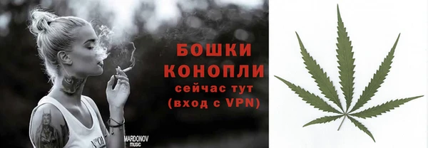 мет Пестово