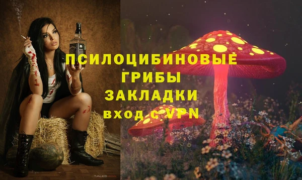 Альфа ПВП Пересвет