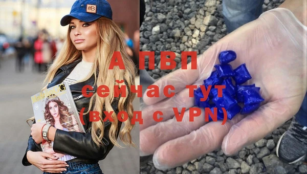 Альфа ПВП Пересвет