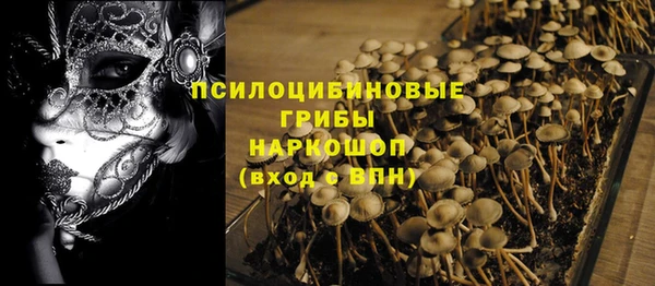 мет Пестово