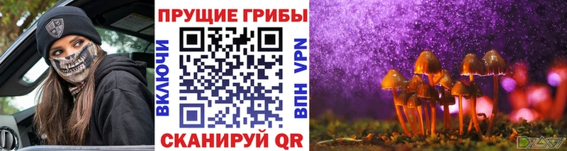 Псилоцибиновые грибы GOLDEN TEACHER  Сельцо 